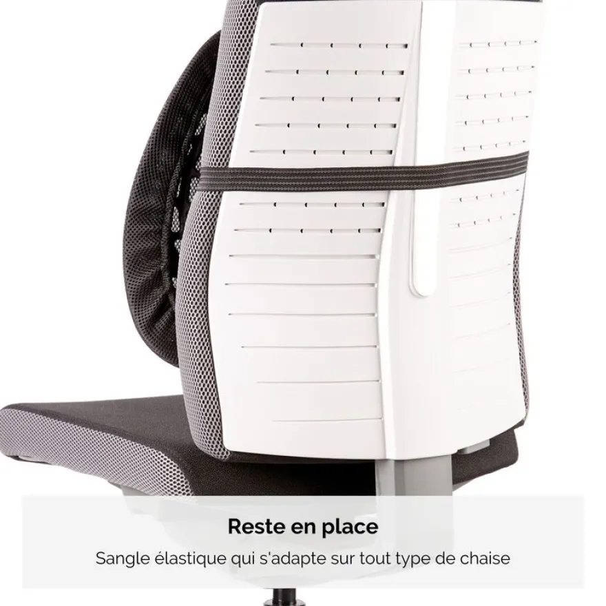 Fellowes - Support dorsal Angel - noir