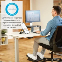 Fellowes - Support moniteur Premium - Gris foncé