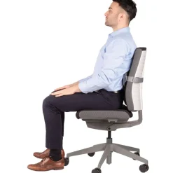 Fellowes I-Spire - Support lombaire gris