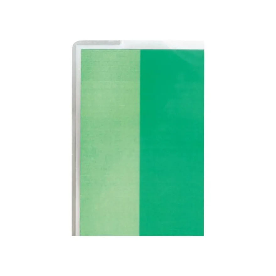 GBC HeatSeal Document Pouch - pack de 100 - brillant - 303 x 426 mm - pochettes plastifiées