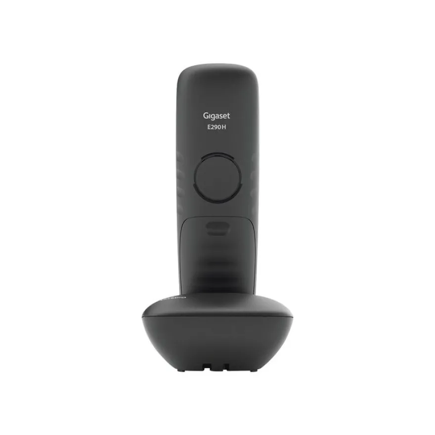 Gigaset E290 Duo - téléphone sans fil à grosse touche + combiné supplémentaire - blanc