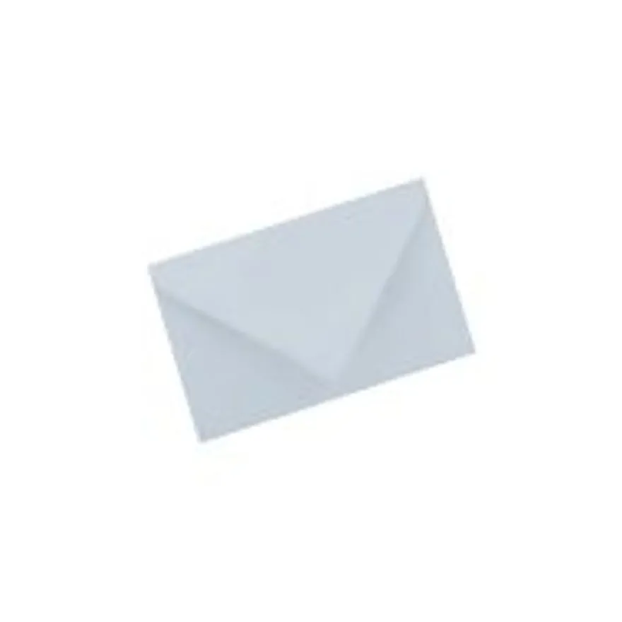 GPV Saint-Louis - 50 Enveloppes de visite - 90 x 140 mm - 100 gr - blanc