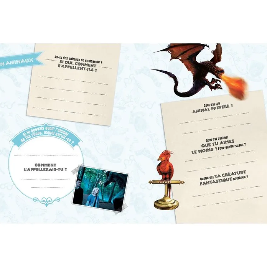 Harry Potter - Mon journal secret Hedwige