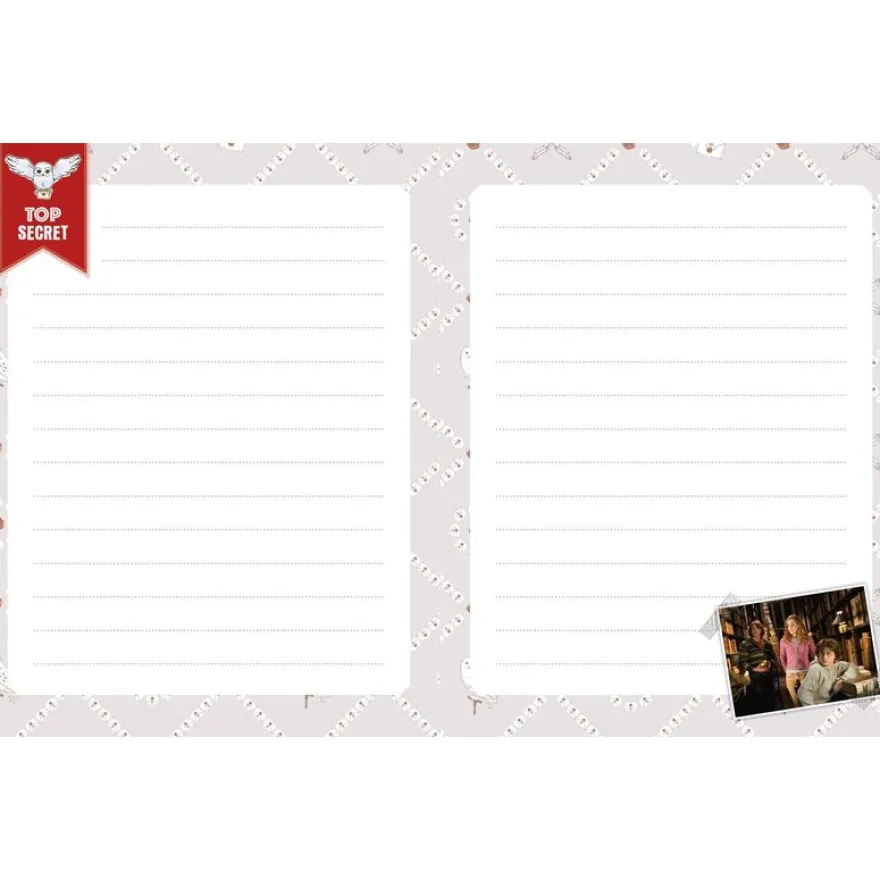 Harry Potter - Mon journal secret Hedwige