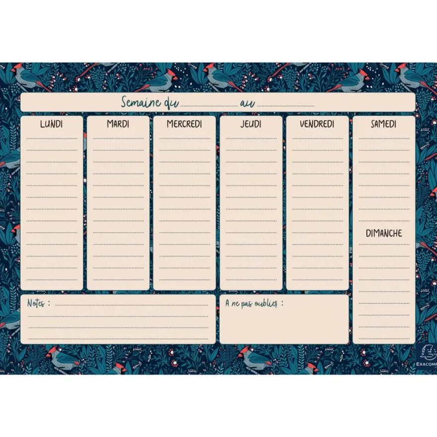 Hebdo Planner Color Design - 26,5 x 18 cm - différents modèles disponibles - Exacompta