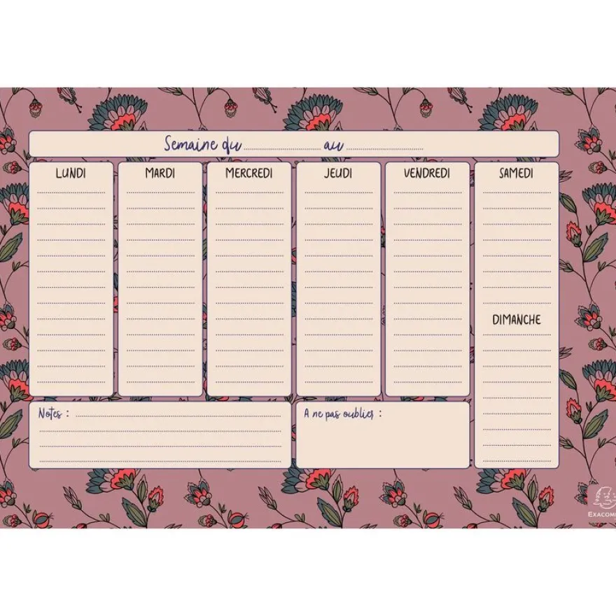 Hebdo Planner Color Design - 26,5 x 18 cm - différents modèles disponibles - Exacompta