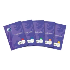 HOLDHAM - 50 feuilles mobiles Dys perforées - 100 pages - A4 - ligné 2 mm