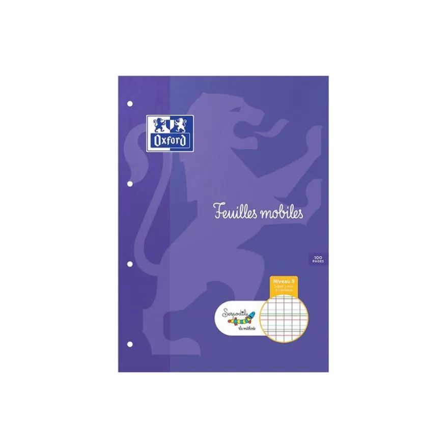 HOLDHAM - 50 feuilles mobiles Dys perforées - 100 pages - A4 - ligné 2 mm