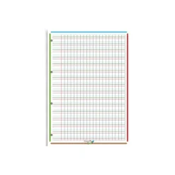 HOLDHAM - 50 feuilles mobiles Dys perforées - 100 pages - A4 - ligné 2 mm
