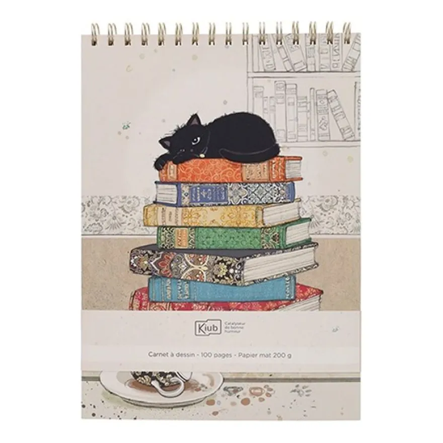 Kiub - Carnet a dessin gm bug art chaton livres