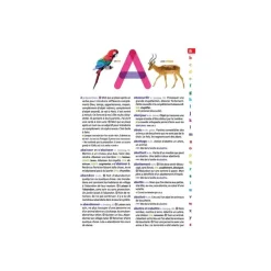 Le dictionnaire Larousse Junior
