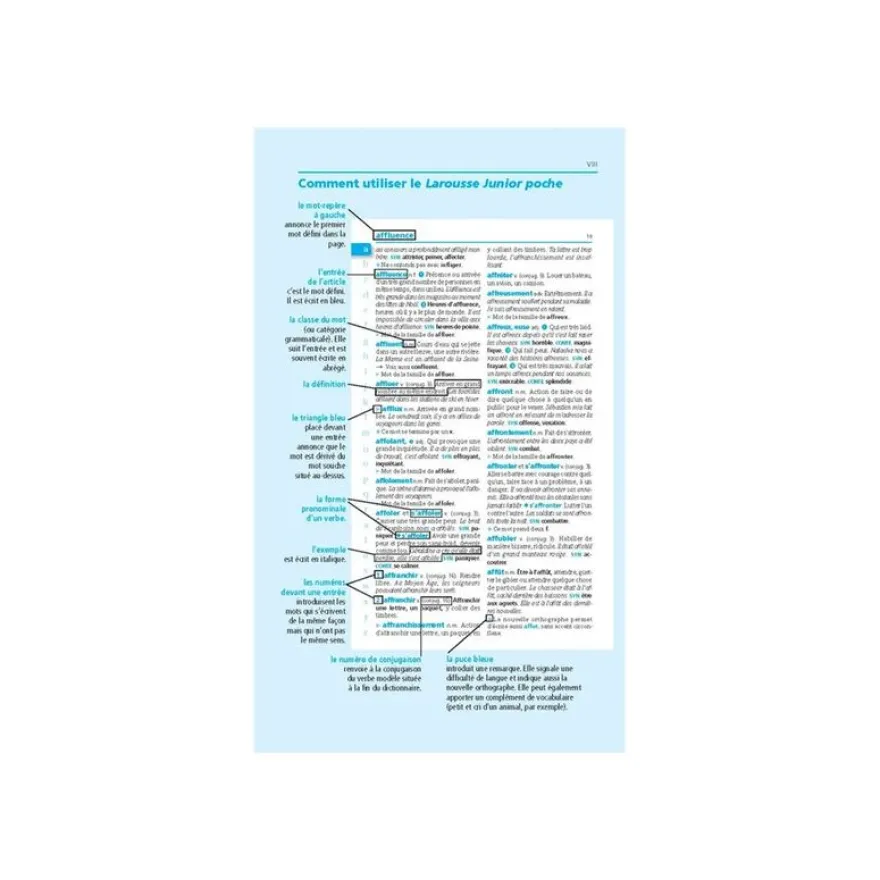 Le dictionnaire Larousse Junior poche