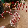 Legami - Crayon candy cane - Noël