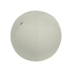 Leitz Ergo - Ballon d'assise ergonomique - Diamètre 65cm - Gris clair