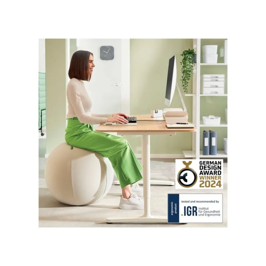 Leitz Ergo - Ballon d'assise ergonomique - Diamètre 55cm - Gris clair