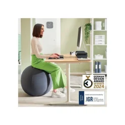 Leitz Ergo - Ballon d'assise ergonomique - Diamètre 65cm - Gris foncé