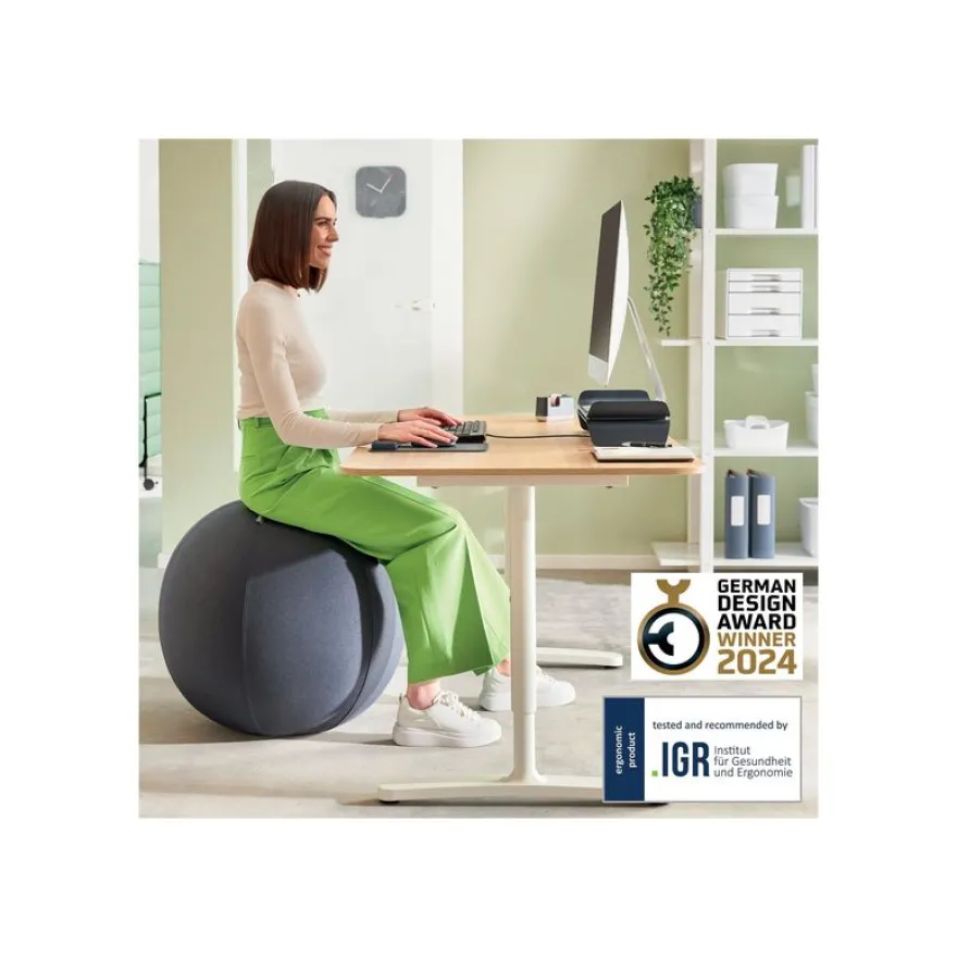 Leitz Ergo - Ballon d'assise ergonomique - Diamètre 65cm - Gris foncé