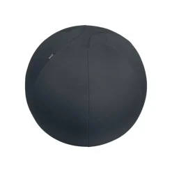 Leitz Ergo - Ballon d'assise ergonomique - Diamètre 65cm - Gris foncé