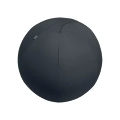 Leitz Ergo - Ballon d'assise ergonomique - Diamètre 75cm - Gris foncé