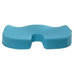 Leitz Ergo - Coussin de siège ergonomique - Soulage la pression et améliore la posture - Bleu