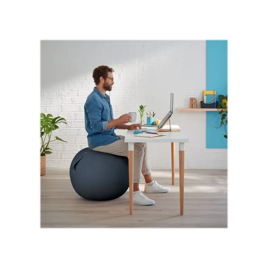 Leitz Ergo Cosy Active - Ballon d'assise ergonomique - améliore la posture - diamètre 65 cm - gris