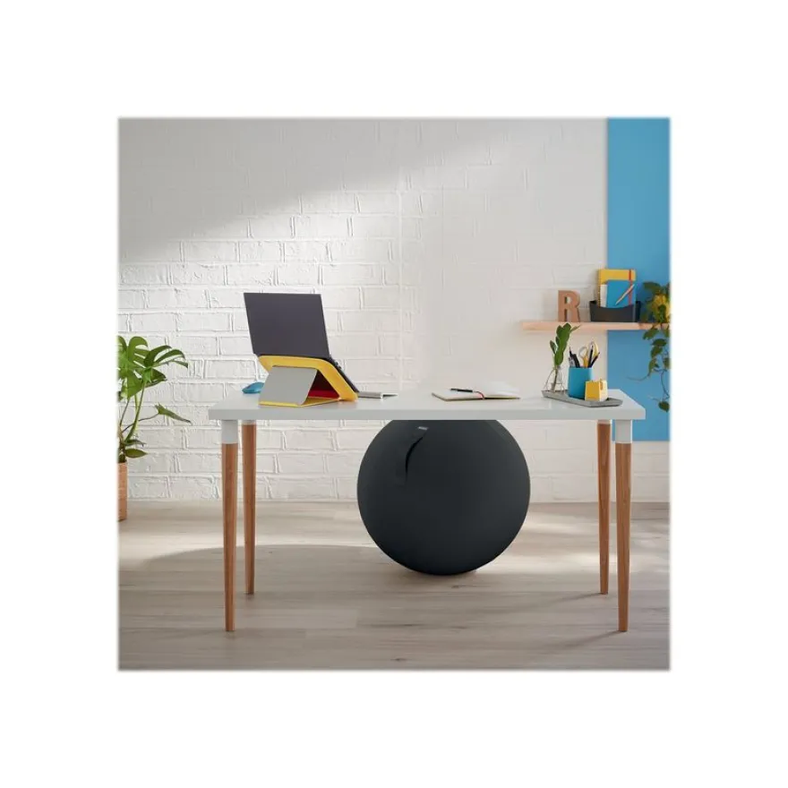 Leitz Ergo Cosy Active - Ballon d'assise ergonomique - améliore la posture - diamètre 65 cm - gris