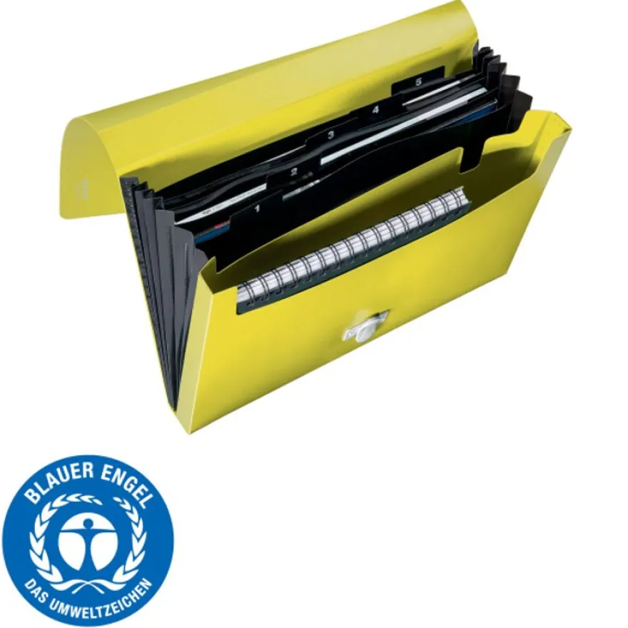 Leitz Recycle - Trieur à soufflet - 5 positions - A4 - pour 250 feuilles - à onglets - jaune