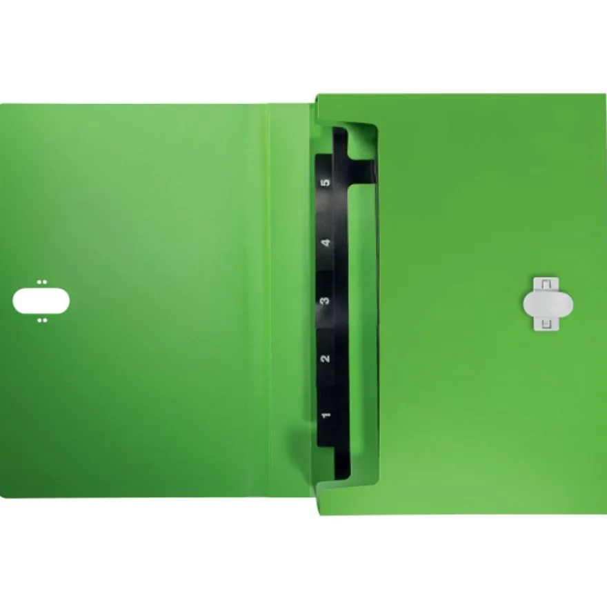Leitz Recycle - Trieur à soufflet - 5 positions - A4 - pour 250 feuilles - à onglets - vert