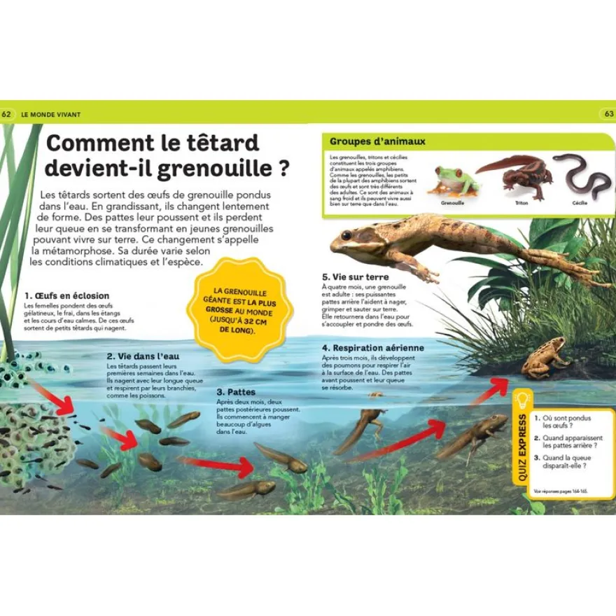 Livre La grande encyclopédie illustrée dès 7 ans