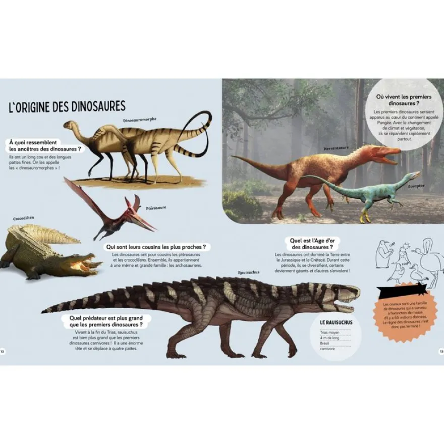 Livre Questions Réponses Tous les dinosaures