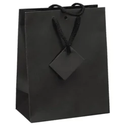 Logistipack - 10 Sacs cadeau kraft - poignées cordelières - 18 cm x 10 cm x 22,7 cm - noir