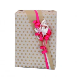 Logistipack - Papier cadeau kraft - 70 cm x 40 m - 60 g/m² - motif pois