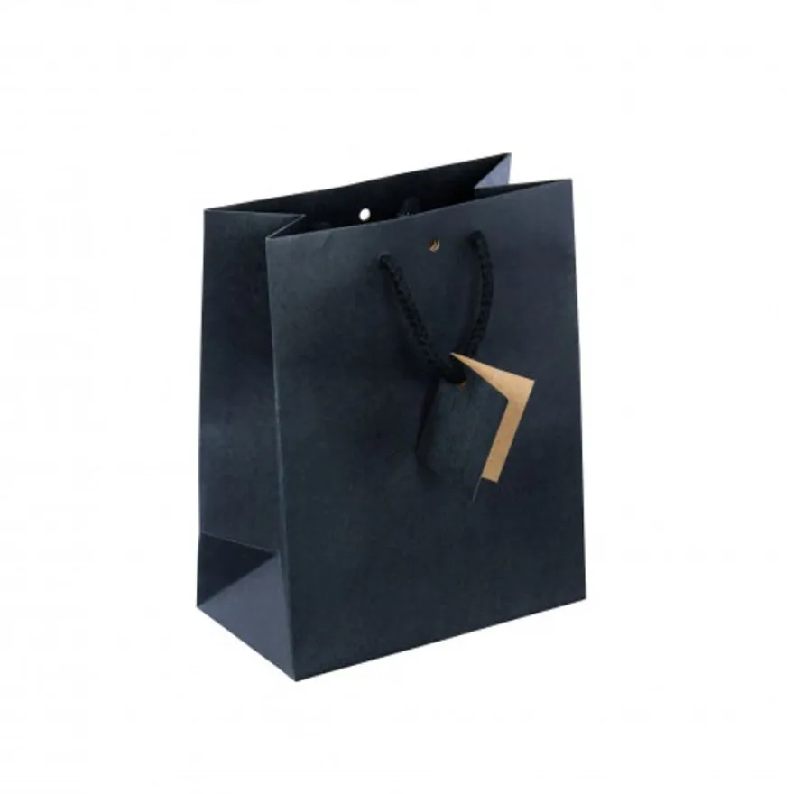 Logistipack - Sac cadeau kraft - poignées cordelières - 18 cm x 10 cm x 22,7 cm - noir