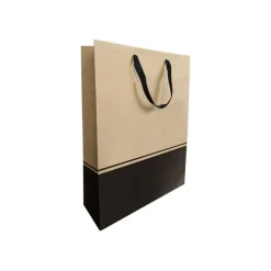 Logistipack Seduction - 10 sacs cadeau pour 3 bouteilles - 27 cm x 9.5 cm x 38.5 cm - brun