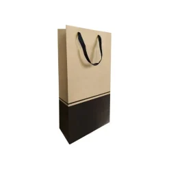 Logistipack Seduction - 10 sacs cadeau pour 2 bouteilles - 19 cm x 9.5 cm x 38.5 cm