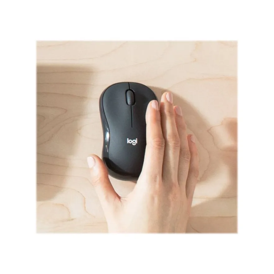 Logitech MK295 Silent - Ensemble clavier et souris sans fil - Azerty - graphite