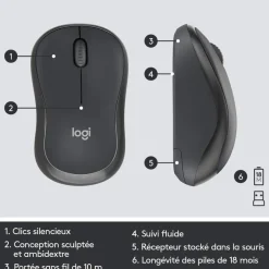 Logitech MK295 Silent - Ensemble clavier et souris sans fil - Azerty - graphite