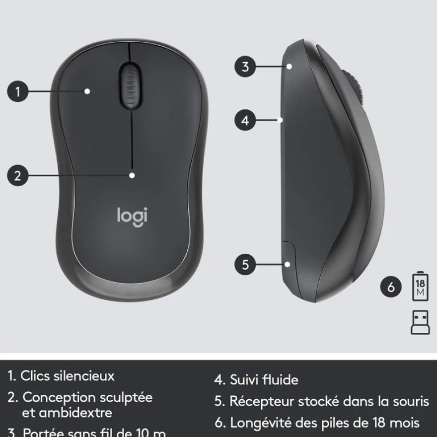 Logitech MK295 Silent - Ensemble clavier et souris sans fil - Azerty - graphite