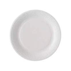 Lot de 100 assiettes en carton - 23 cm - blanche