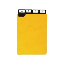 Lot de 24 guides alphabétiques 150×105 mm – Cartes à onglets métalliques noir