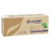 Lucart Professional EcoNatural - 9 étuis de 10 mouchoirs