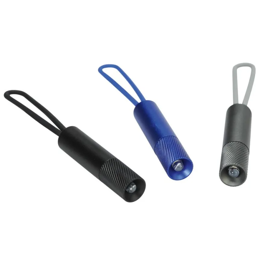 Mini lampe LED avec dragonne SIGN 3 coloris assortis