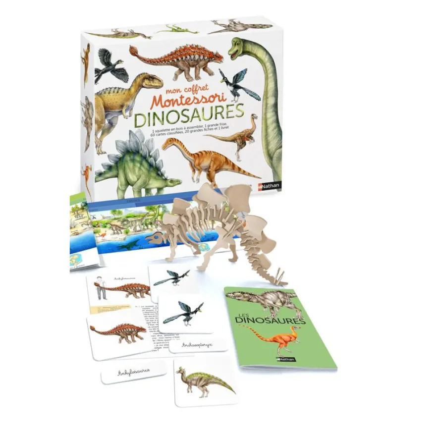 Mon coffret Montessori des dinosaures