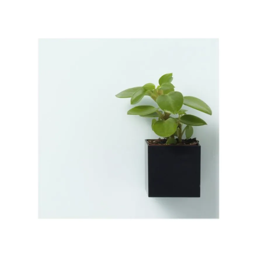 Naga - Pot à marqueurs aimanté - carré 6 x 6 x 6 cm