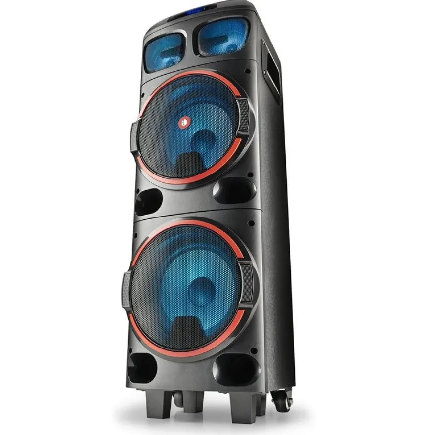 NGS WILD DUB 1 - enceinte de soirée - sans fil - avec batterie intégrée - noir