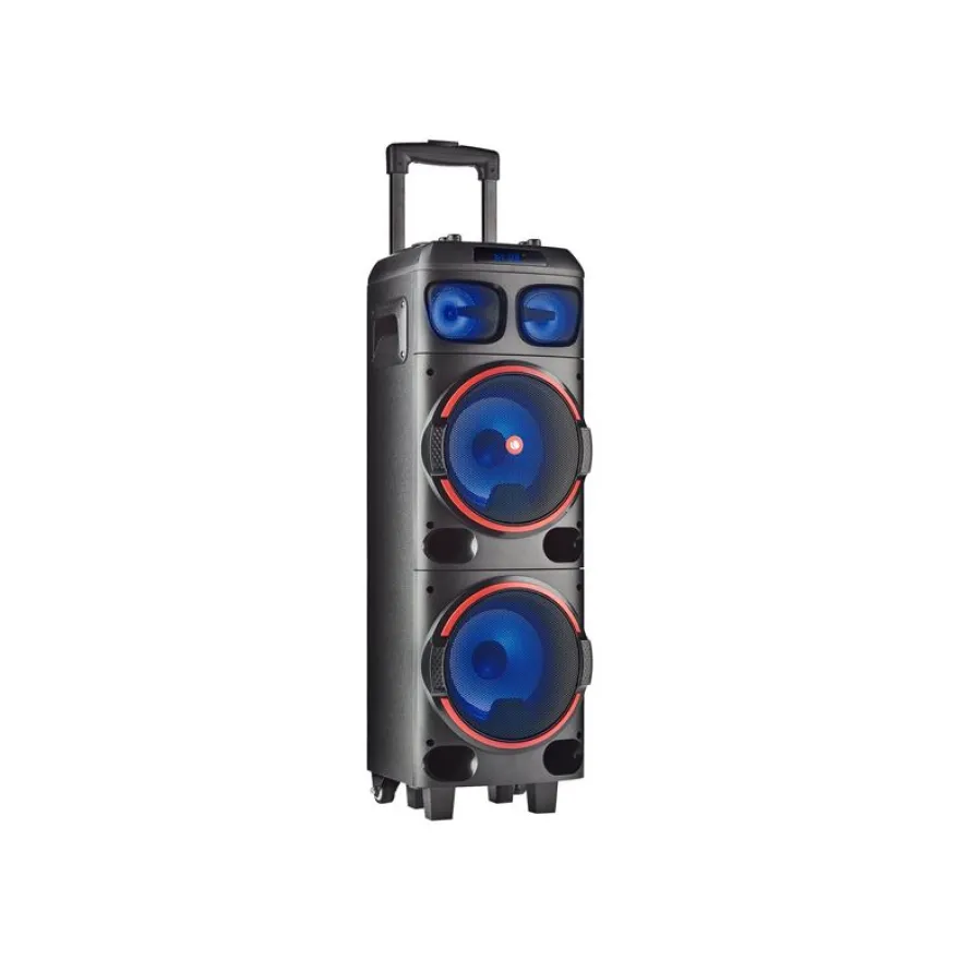 NGS WILD DUB 1 - enceinte de soirée - sans fil - avec batterie intégrée - noir