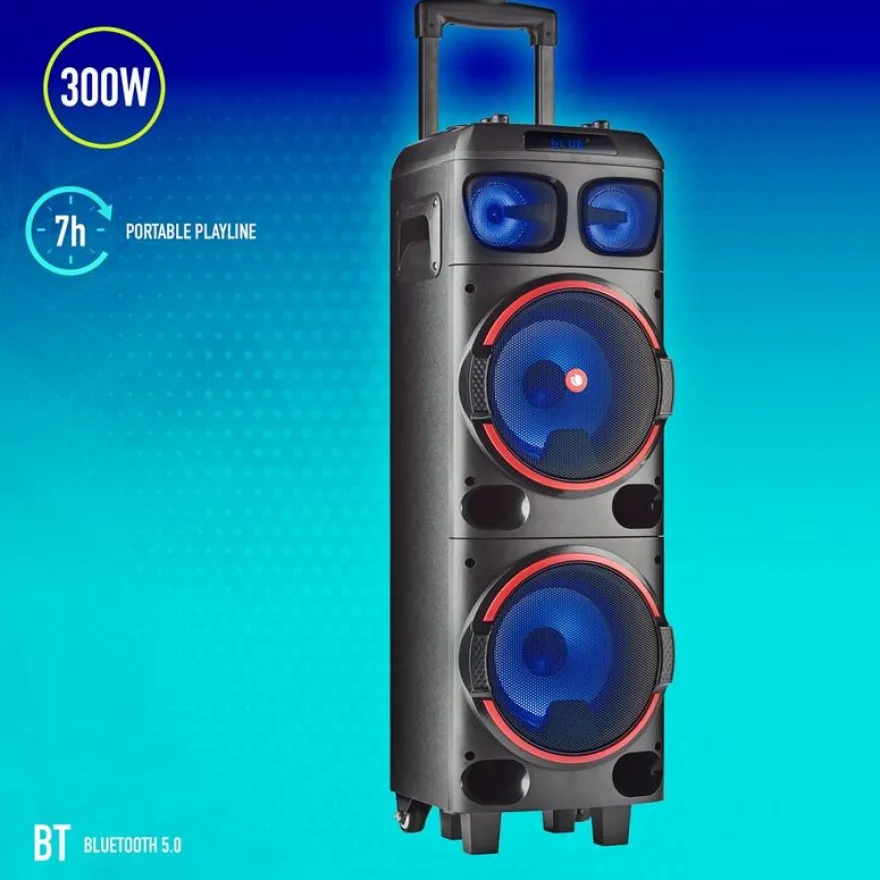 NGS WILD DUB 1 - enceinte de soirée - sans fil - avec batterie intégrée - noir