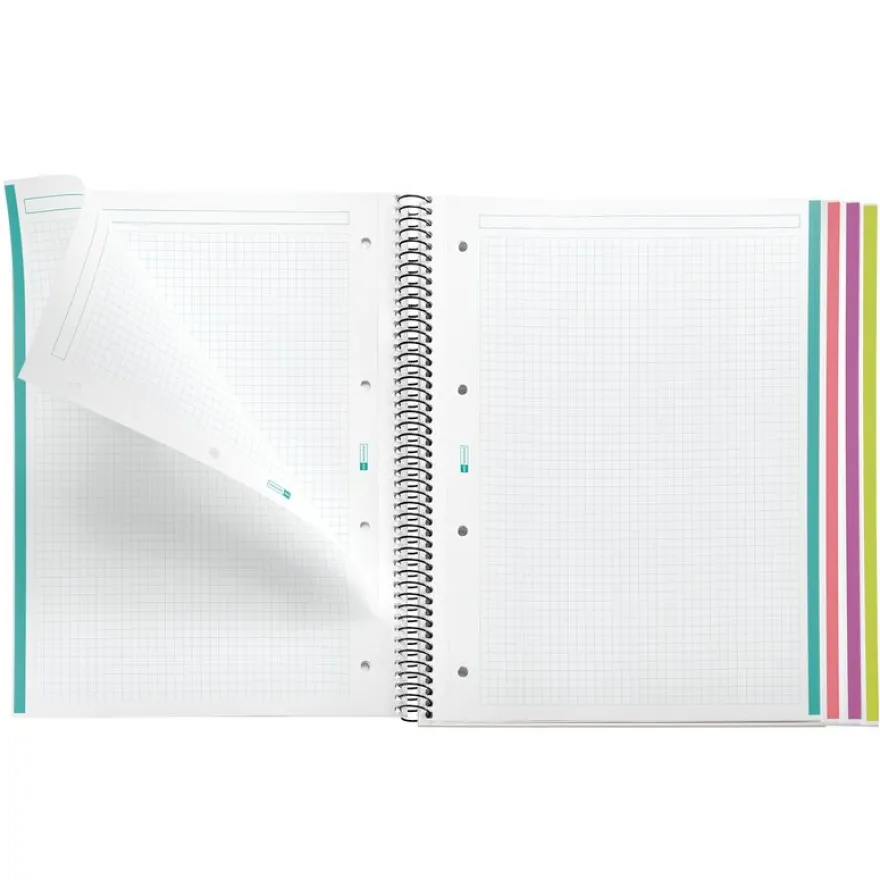 Notebook Aurora, Couverture souple, A4, quadrillage 5x5 mm, 120 feuilles de 4 couleurs, Miquelrius, Iceland.