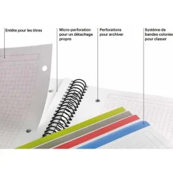 Notebook The Original, Couverture souple, A5, quadrillage 5x5 mm + Lisse, 120 feuilles de 2 couleurs, Miquelrius, Noir, Professionnel.