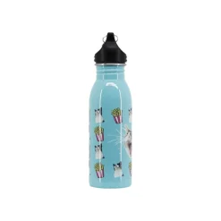 Oh My Pop! ANGRY CAT - Gourde bouteille d'eau - turquoise - 500 ml